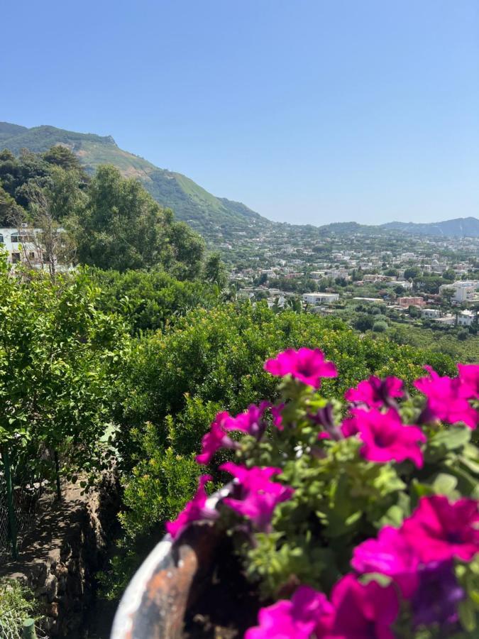 Bed and Breakfast Blu Panorama Forio di Ischia Exterior foto