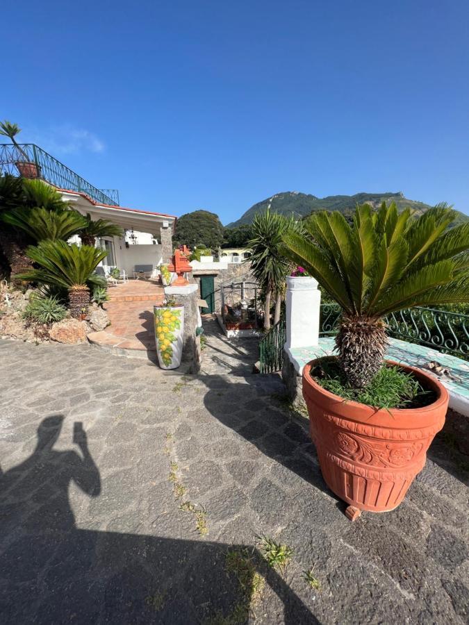 Bed and Breakfast Blu Panorama Forio di Ischia Exterior foto