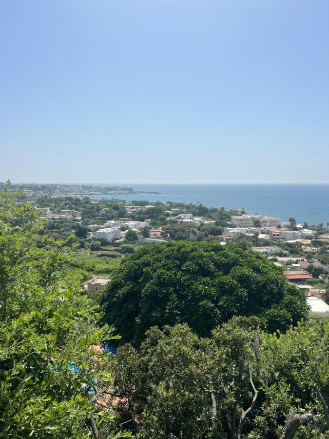 Bed and Breakfast Blu Panorama Forio di Ischia Exterior foto